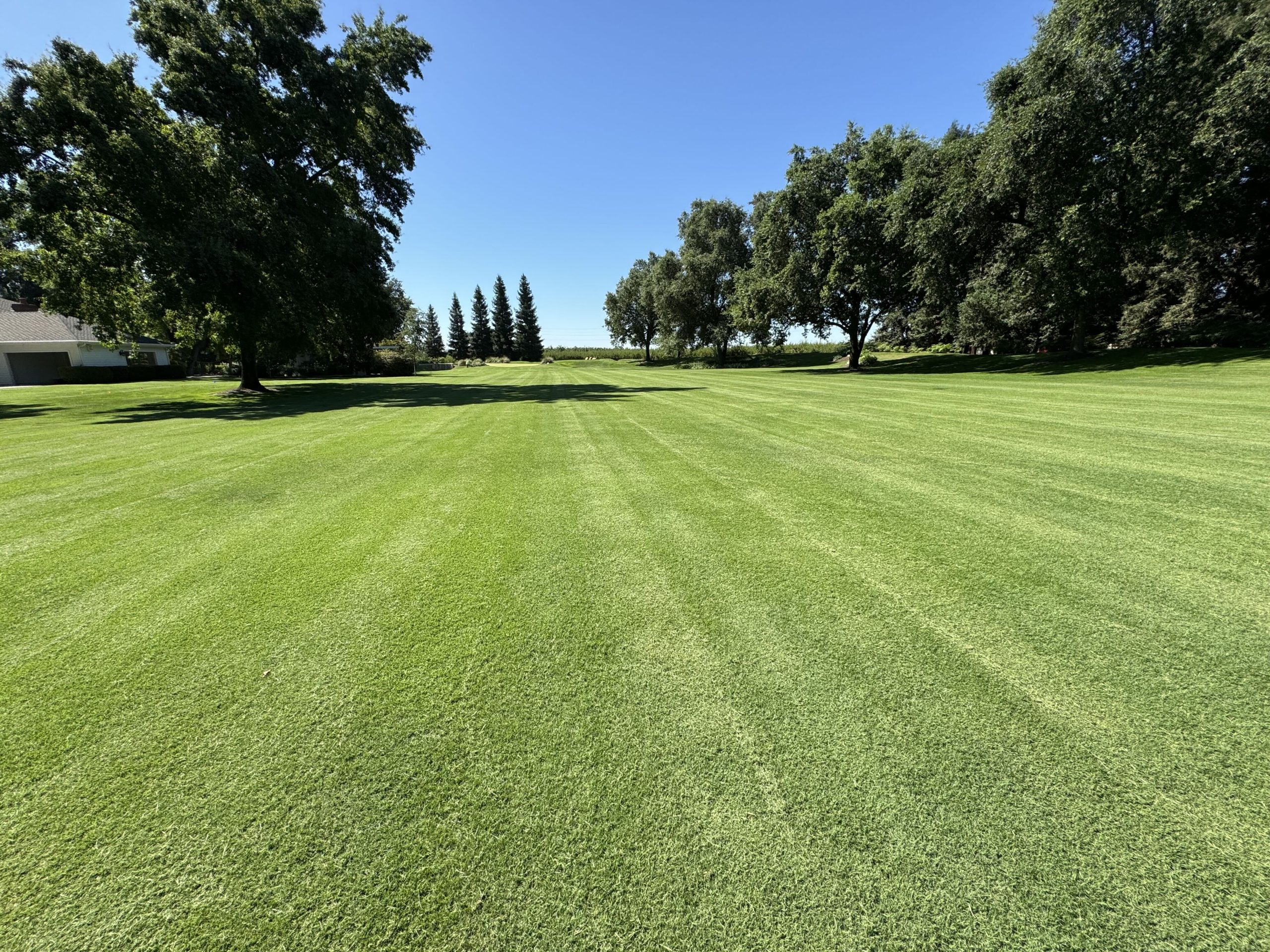 Wide manicured commercial lawn with mowing stripes