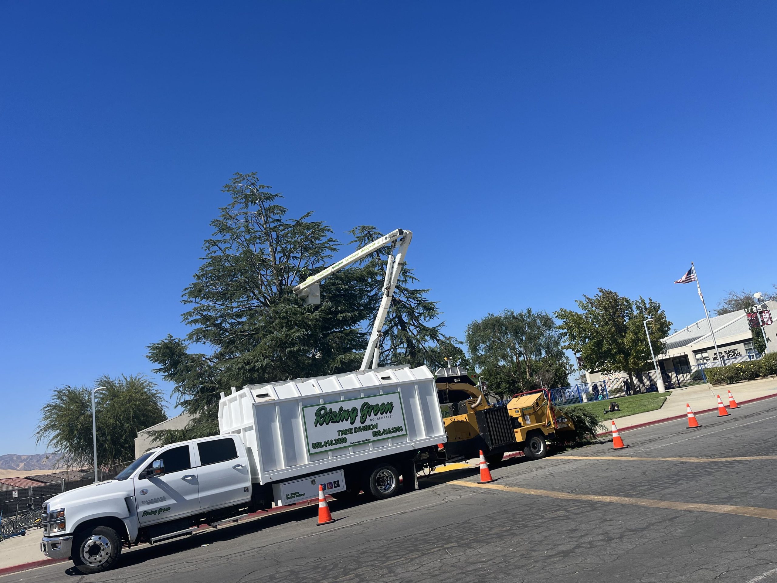 Rising Green truck and bucket lift trimming a tree with traffic cones set out