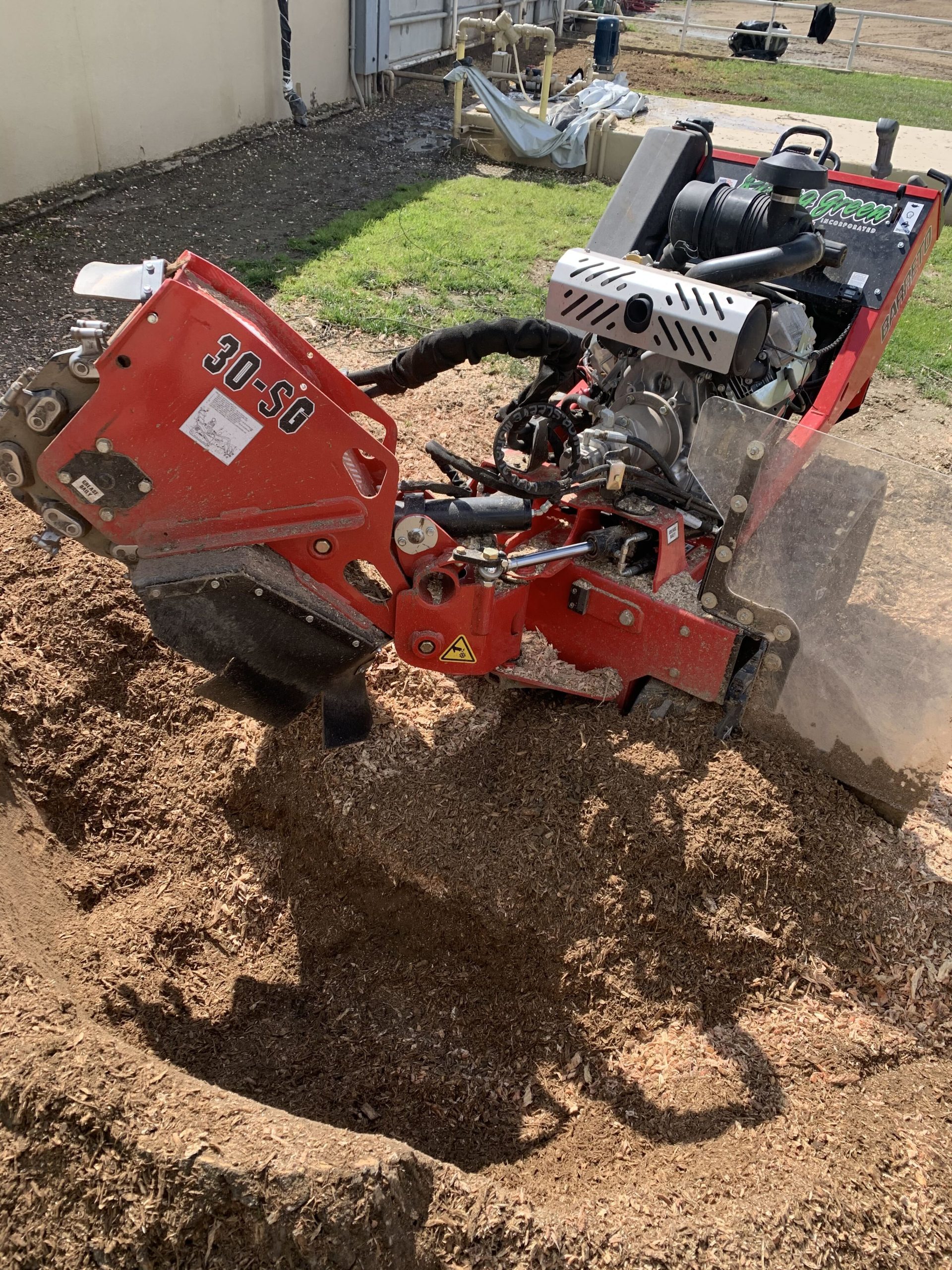 Stump grinder machine grinding a tree stump below grade